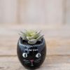 Home Lazy Suricata Decoration | Critter Succulent Cat