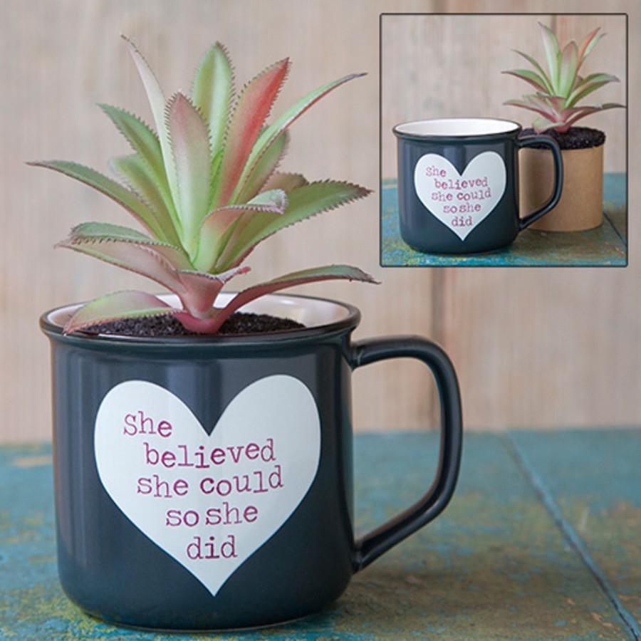 Home Lazy Suricata Decoration | 2In1 Mug Succulent She Believed